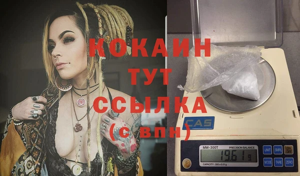 гидра Алексин