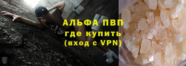 гидра Алексин